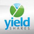 Yieldshares Christian Magoon Spotlights High Income and Cyber Security ETFs | ETF ...